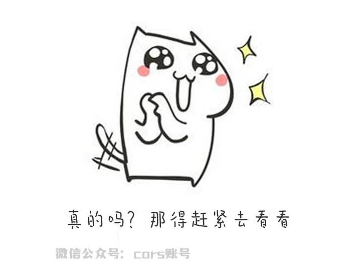 cors賬號(hào)的接入點(diǎn)是多少？