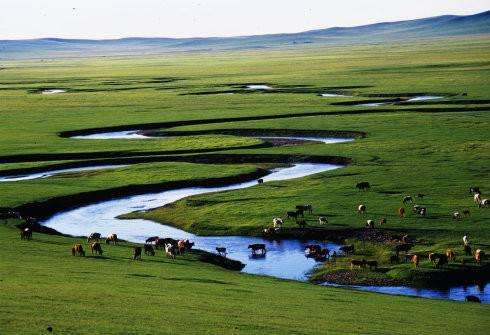 我在內(nèi)蒙古地區(qū)能不能用cors賬號？