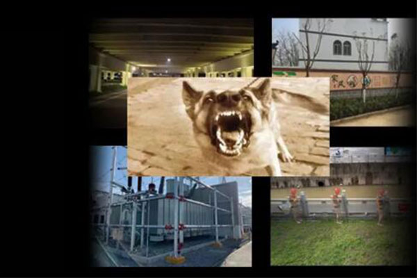 中海達(dá)影像小碟RTK來了，測量+放樣一步到位，開啟RTK影像新時代